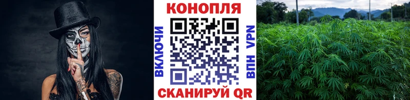 Все наркотики Тутаев Каннабис  АМФ  МЕФ  КОКАИН  А ПВП 