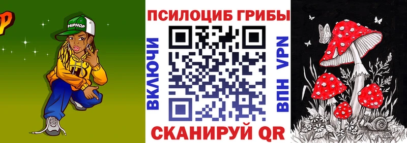 Псилоцибиновые грибы Psilocybe  KRAKEN   Тутаев 