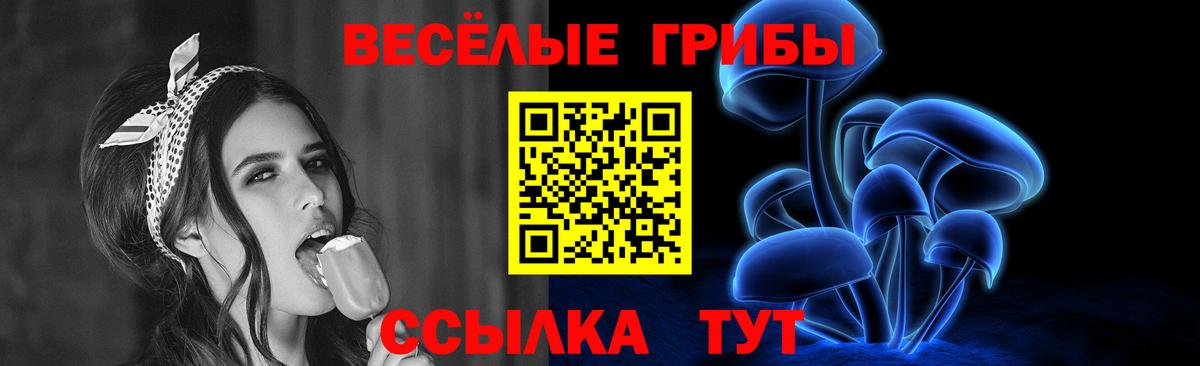 Тутаев  где купить наркотик  Галлюциногенные грибы Cubensis  Вход с VPN  Галлюциногенные грибы мицелий 