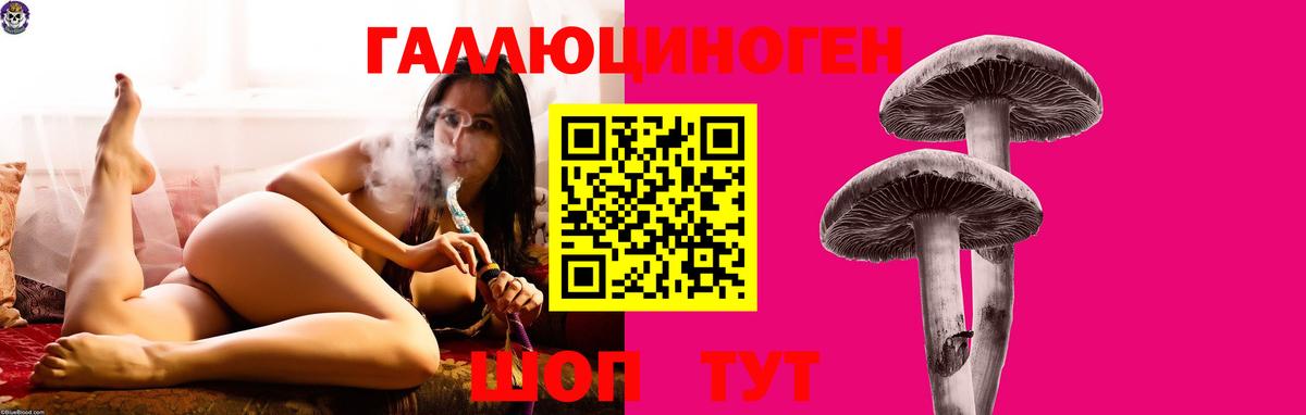Псилоцибиновые грибы MAGIC MUSHROOMS Тутаев